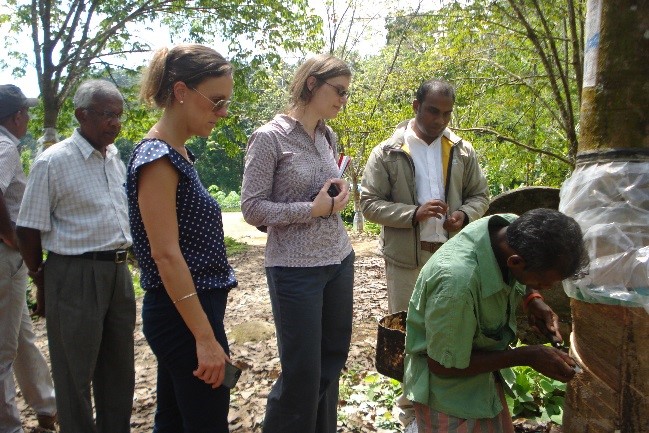 Photo from CFP implementation in rubber company producing rubber gloves, Sri Lanka